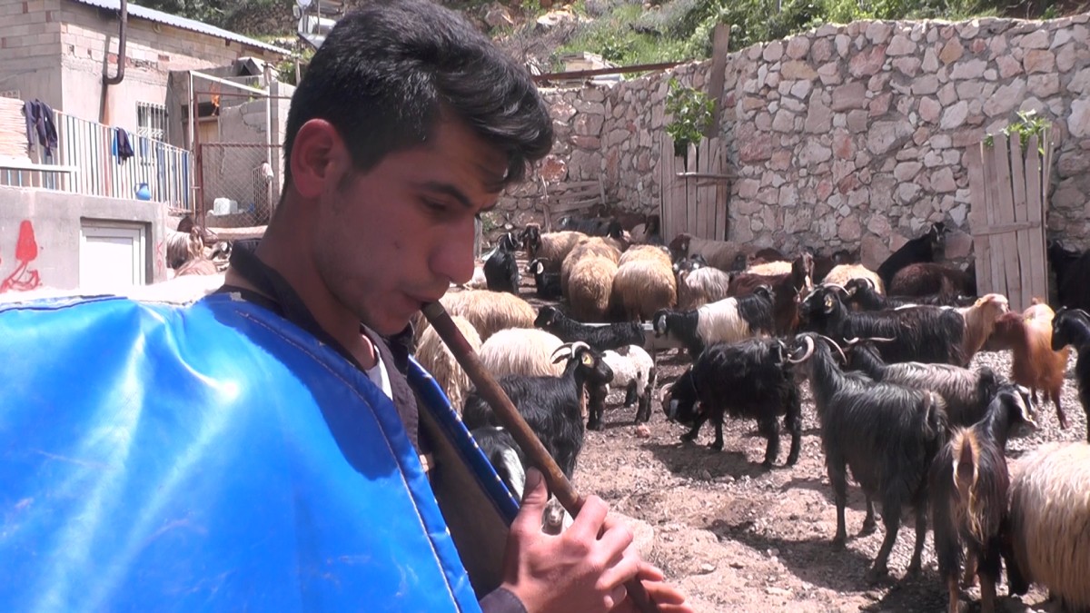 Adıyaman’da Zor Bir Hayat Hikayesi İnsanlık Tarihinin En Eski Mesleği...